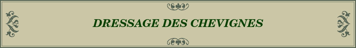 DRESSAGE DES CHEVIGNES